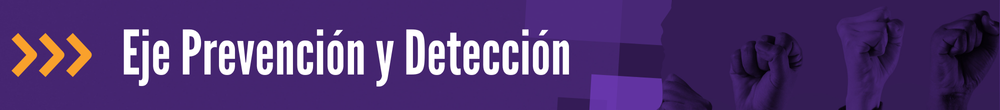 Acceso Directo - Eje prevención y Detección